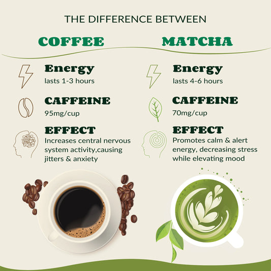 Does matcha have caffeine? Why matcha is caffeine is better than coffee?