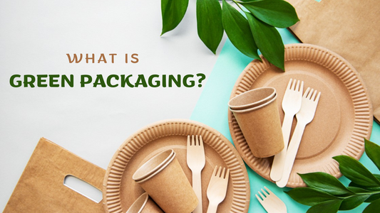 What is Green Packaging? 6 Sustainable Packaging Ideas for 2024