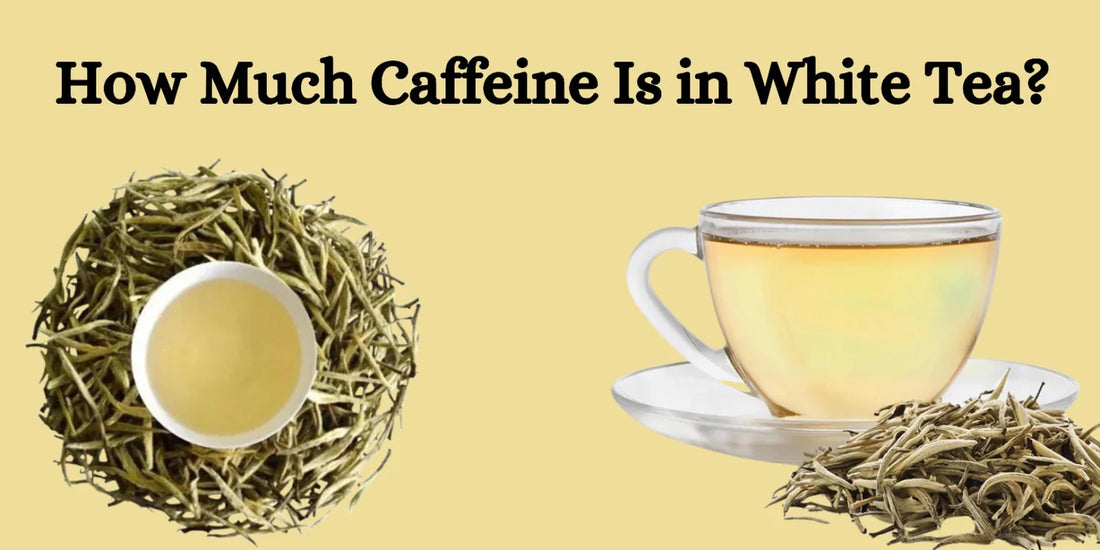 White Tea Caffeine