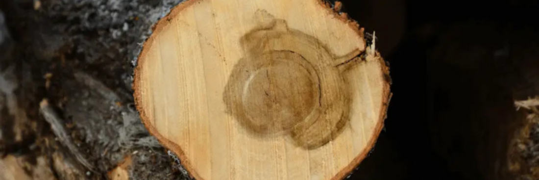 Maple Cutting Board