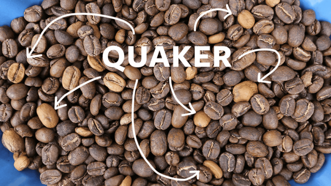 Quaker Coffee Beans