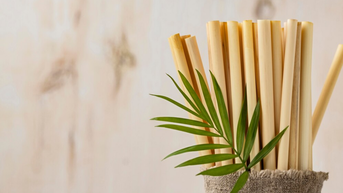 Bamboo Straw Savvy: Answers to All Your Questions!