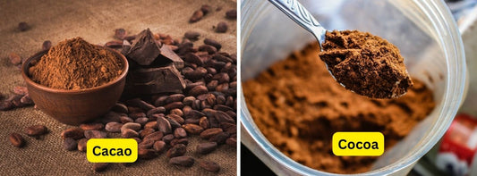 Cacao vs Cocoa: Understanding the Difference for the Best Choice