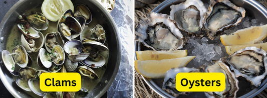 Types of Clams vs Oysters and Their Differences