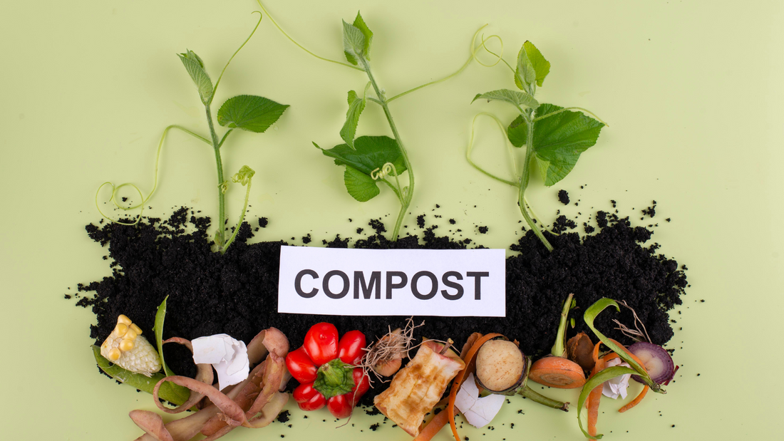 Guide to Understand Right About Compostable Materials