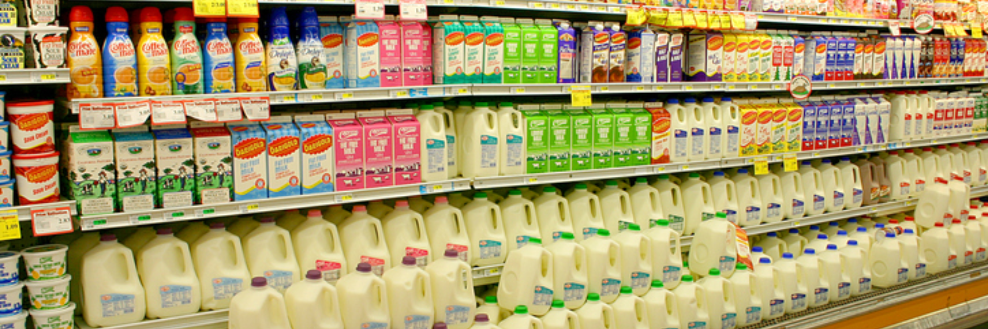 What Is Dairy Packaging? What Is The Best Packaging Material For Milk ...