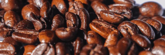 Oily Coffee Beans