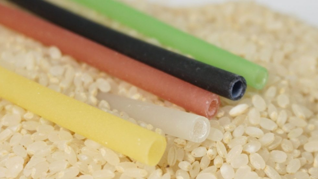 All about Rice Straw that You Need to Know