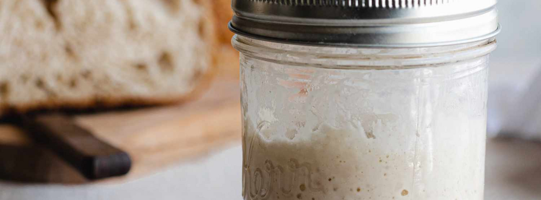 Choosing the Best Glass Jars for Sourdough Starters