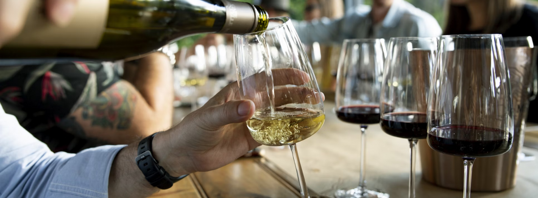 Guide to Classifications and Popular Types of Wine