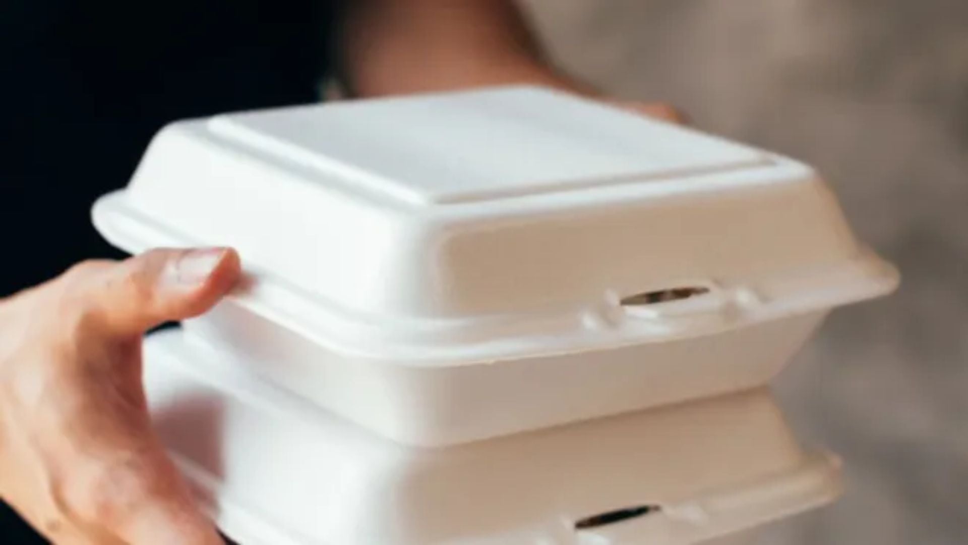 6 Benefits Of Using Vented Takeout Containers – KimEcopak