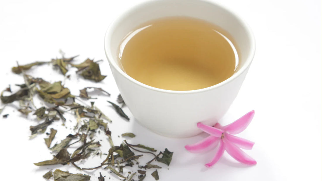 White Tea: The Health Secrets of White Tea – Benefits, How to Brew, and Where to Buy