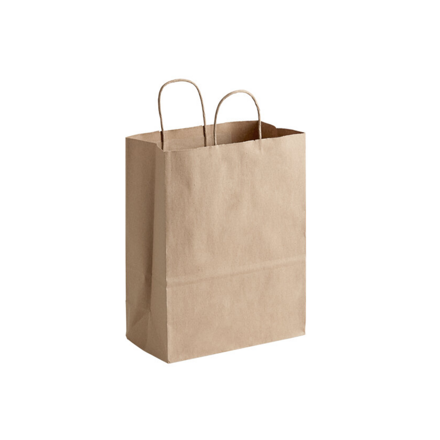 Kraft Paper Bags Twisted Handles | Shopping Bag | CASE OF 250