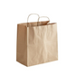 Kraft Paper Bags Twisted Handles | Shopping Bag | CASE OF 250