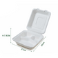 3 Compartment | Disposable Sugarcane Fiber Tray | For Catering Company