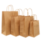 Kraft Paper Bags Twisted Handles | Shopping Bag | CASE OF 250