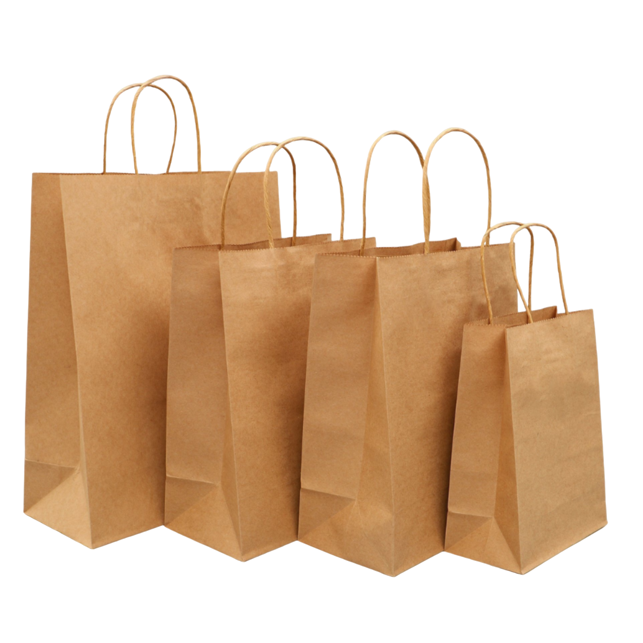 Kraft Paper Bags Twisted Handles | Shopping Bag | CASE OF 250