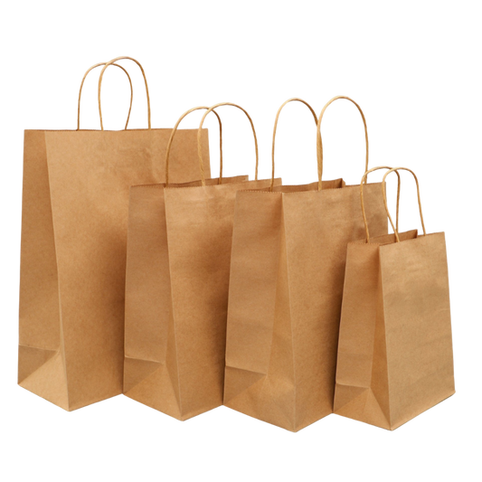 Kraft Paper Bags Twisted Handles | Shopping Bag | CASE OF 250