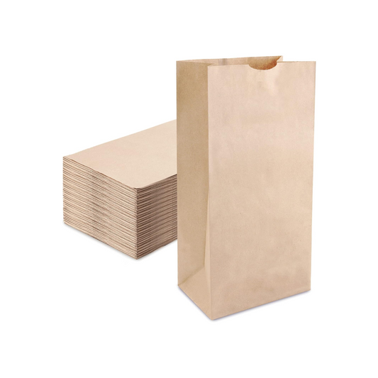 Paper take out bags no handle 20 lbs